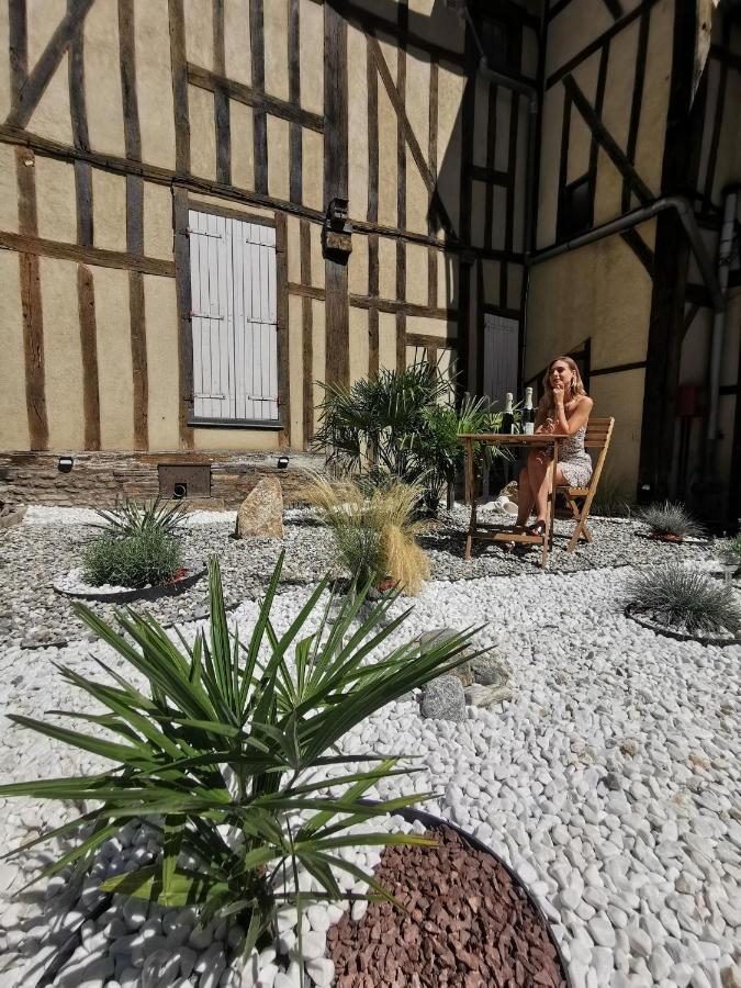 Appartamento Les Cieux de la Cathédrale - Calme - Jardin - Wifi Troyes Esterno foto